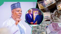 “It will be well executed”: Shettima speaks as AFDB approves Tinubu’s $163m loan request