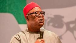 Peter Obi, Pius Anyim, other presidential aspirants lay serious allegations against southeast governors