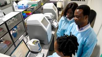 Japa: Nigeria loses 1,197 doctors to the UK, new report