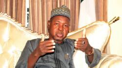 2023: Resign now if you want to contest, governor Masari tells cabinet