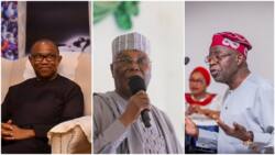 Economist Intelligence Unit predicts winner of Nigeria's 2023 presidential election