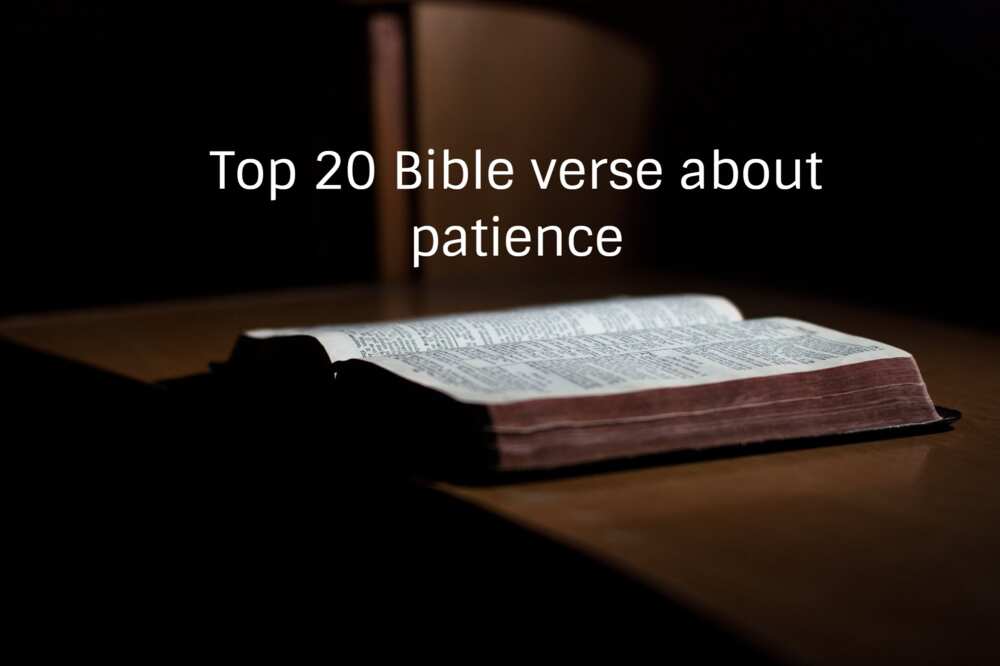 Top 20 Bible verse about patience
