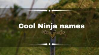 100+ cool assassin and ninja names for your new fantasy character