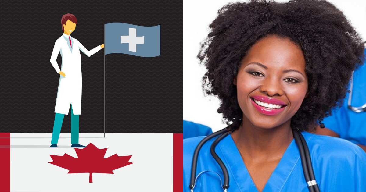 how-to-study-medicine-in-canada-legit-ng