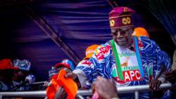 Presidency: FG speaks on court cases against Tinubu, APC, discloses plan for May 29 handover