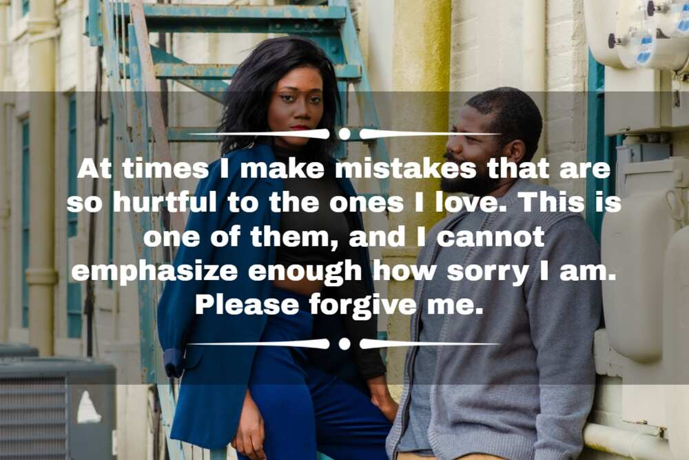 201 I'm Sorry Quotes To Apologize To Your Partner