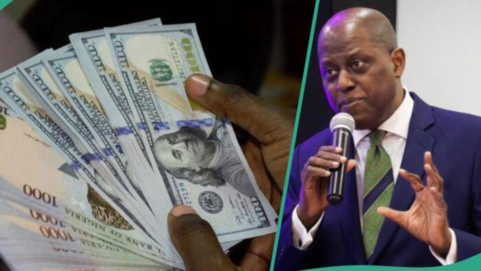 Cryptocurrency companies affecting naira's performance against dollar? Lawyer Reacts
