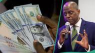 Naira vs Dollar: Factors influencing Nigerian currency rate