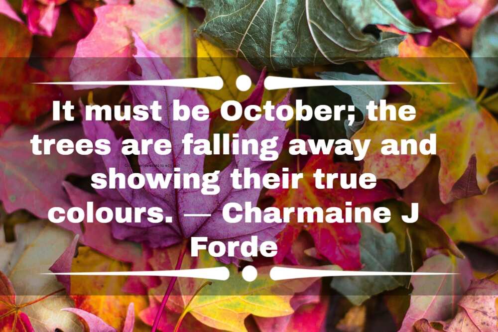October quotes for Instagram