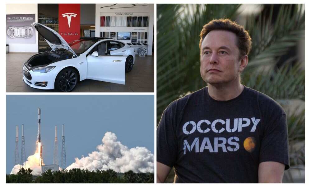 Elon Musk, companies