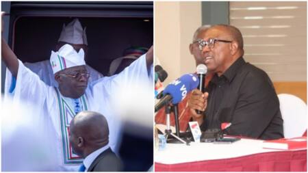 2023 presidential election results: APC chieftain says Peter Obi will lose in court, gives reason