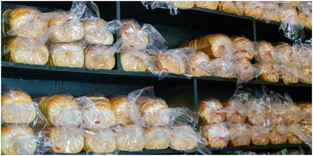 Bakers Association Increases Bread Prices by 30% Amid Looming CBN Ban on Wheat, Sugar