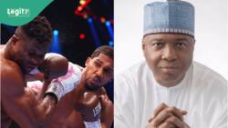 Joshua vs Ngannou: Presidency, Saraki, APC, others salute AJ's knockout victory
