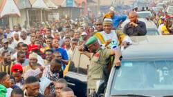 Jigo Ya Bar Su Kwankwaso a NNPP, Ya Ce Rikicin Gidan Jam’iyyarsu da Yawa