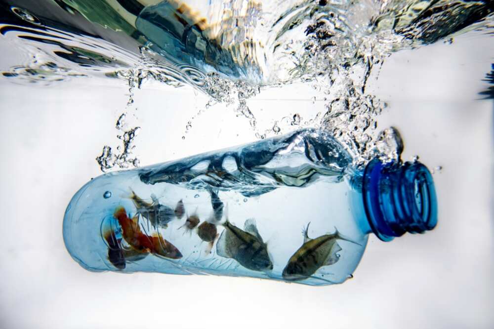 Environmentally-damaging plastic pollution is expected to surge if nothing is done to curb global reliance on the fossil-based substance Environmentally-damaging plastic pollution is expected to surge if nothing is done to curb global reliance on the fossil-based substance