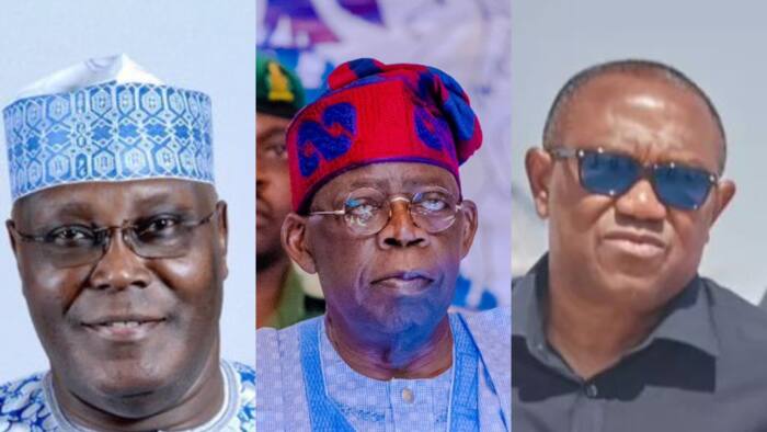 "They are planning to sell fuel for N720 per litre": Political analyst lambasts Atiku, Peter Obi