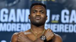 Francis Ngannou quitte l'UFC : découvrez son salaire et sa fortune