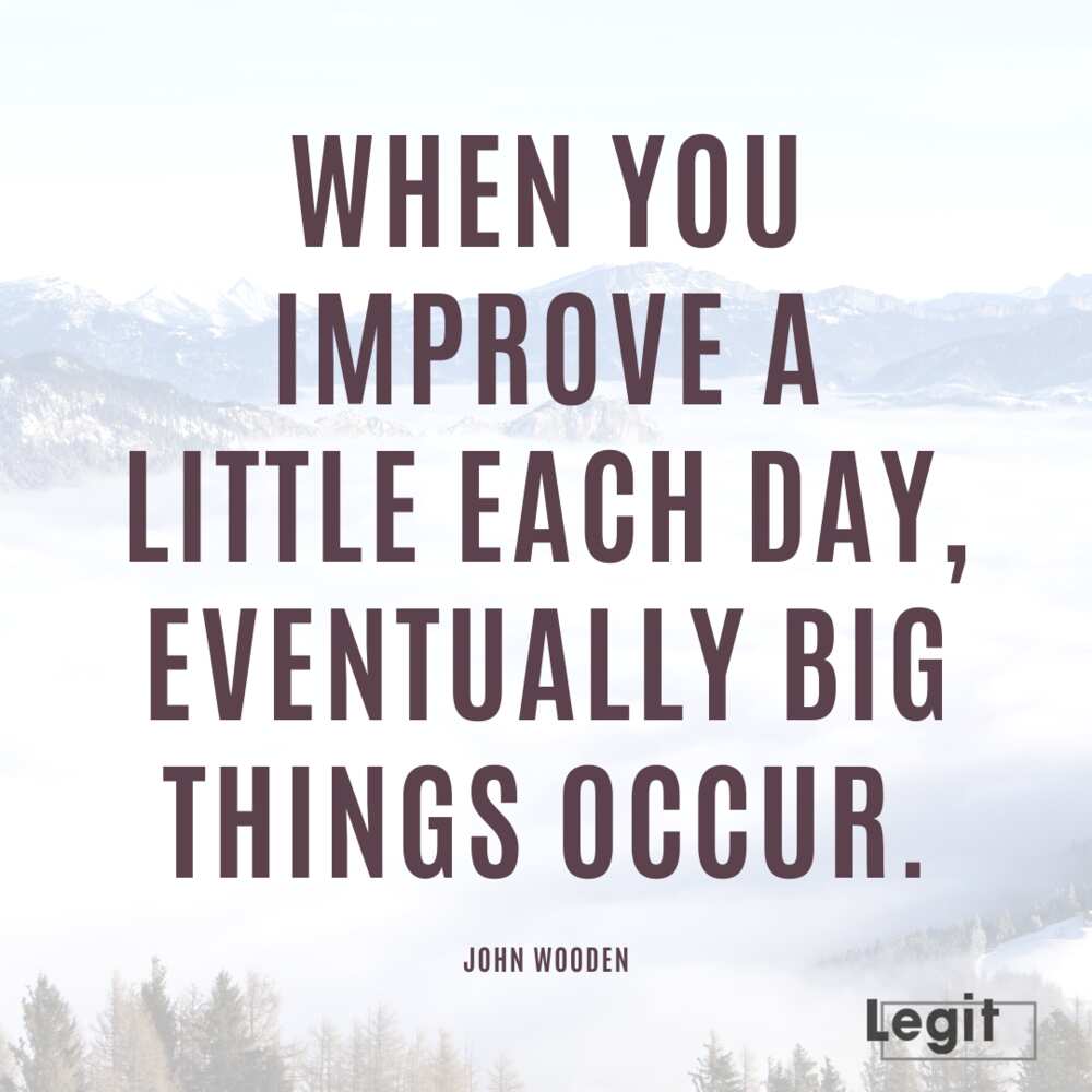 coach wooden coach wooden