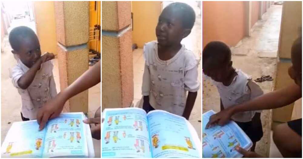 Aunty, little girl, knocks her mum, assignment, homework Aunty, little girl, knocks her mum, assignment, homework