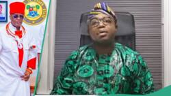 “Lagos does not belong to Benins”: Balogun Eko counters Oba of Benin, video trends