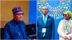 Naira redesign: CBN or finance minister? Buhari finally speaks on his position