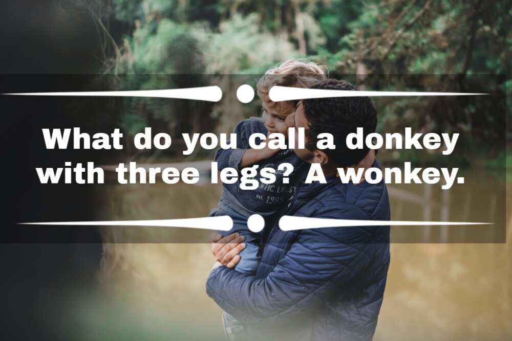 Dad jokes for toddlers