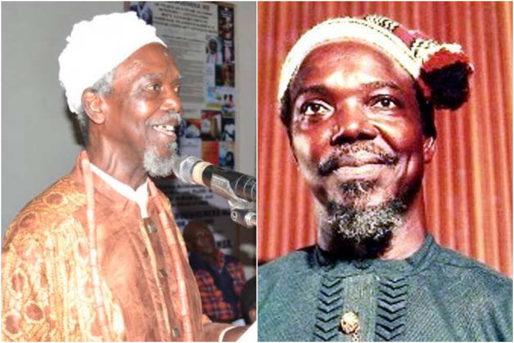 Buhari, Atiku, mourn as renowned novelist, Chukwuemeka Ike, dies at 88