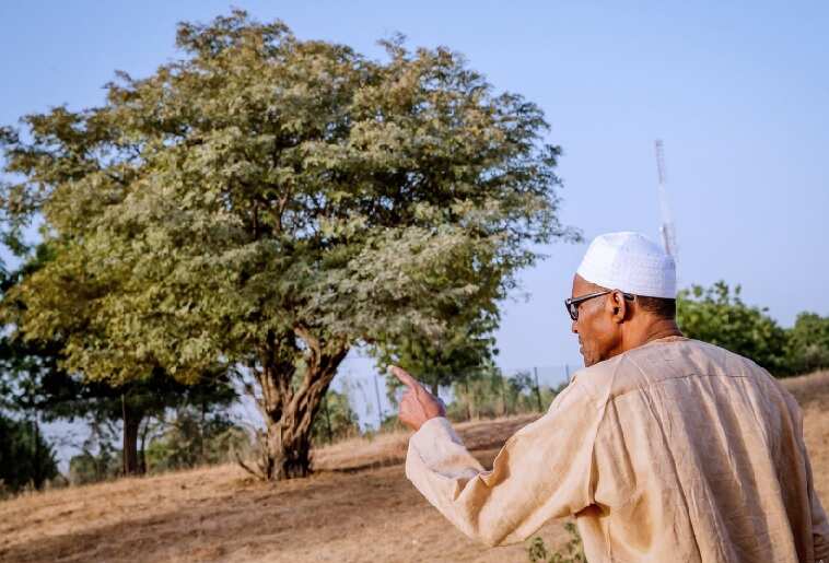 COVID-19: Nigeria in danger of food insecurity, farmers warn