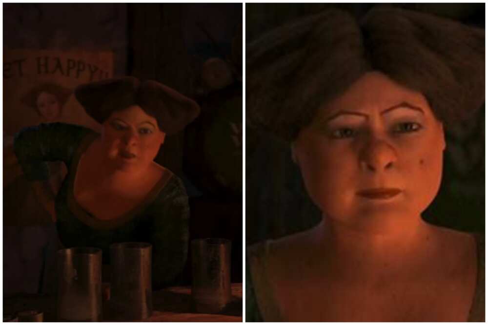 33 iconic Shrek characters every fan of the franchise will