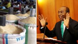 Price of rice still high despite N850bn government investment in rice farming
