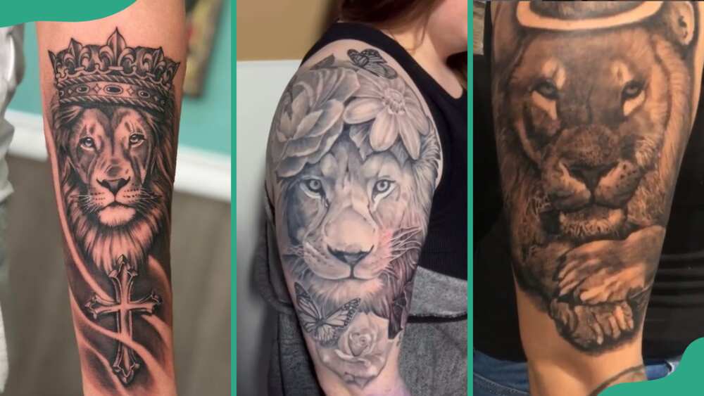 Lion tattoos