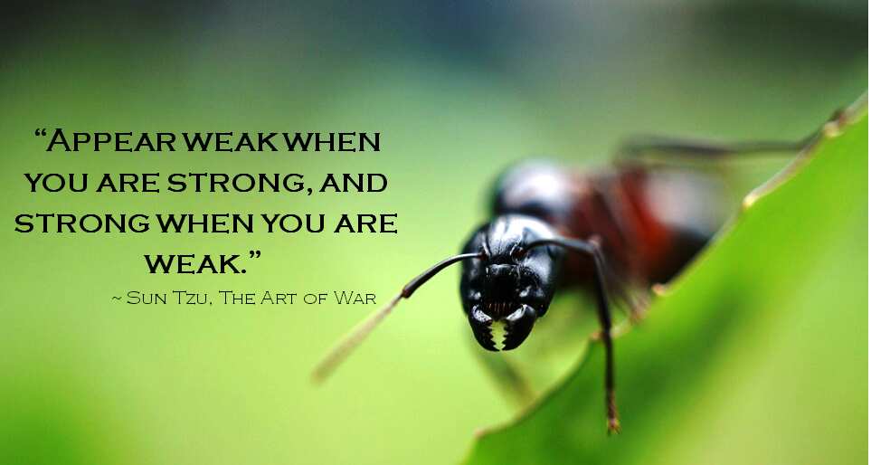 30 Art of War quotes to inspire you to greatness - Legit.ng
