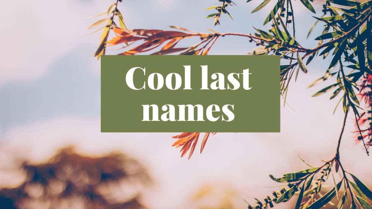 150+ unique and cool last names for your fictional characters 