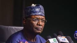 INEC under pressure to annul guber election polls in APC-controlled state
