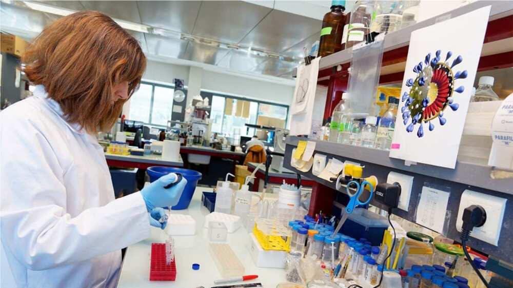 A picture showing a scientist working in the lab. Photo source: SafetySkills