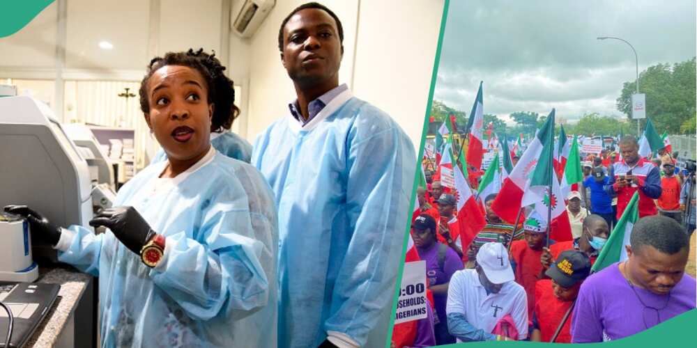 Kano doctors react to NLC strike