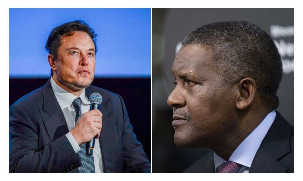 Elon Musk, Tesla, Dangote