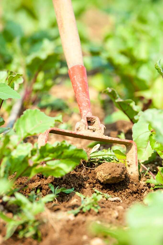 farming tools with their names