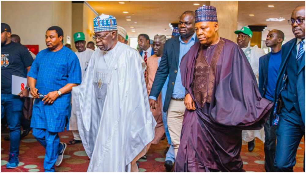 Bola Tinubu, APC, 2023 elections, Tinubu Support Group, Kashim Shettima