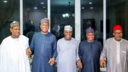 Presidential Campaign: Wike out of show as Atiku makes fresh appointments, Saraki, Secondus wins big