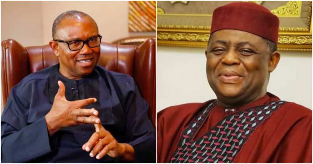 Pan-Yoruba socio-cultural organisation, Afenifere, Pa Ayo Adebanjo, Peter Obi, Femi Fani-Kayode, 2023 presidential election Pan-Yoruba socio-cultural organisation, Afenifere, Pa Ayo Adebanjo, Peter Obi, Femi Fani-Kayode, 2023 presidential election