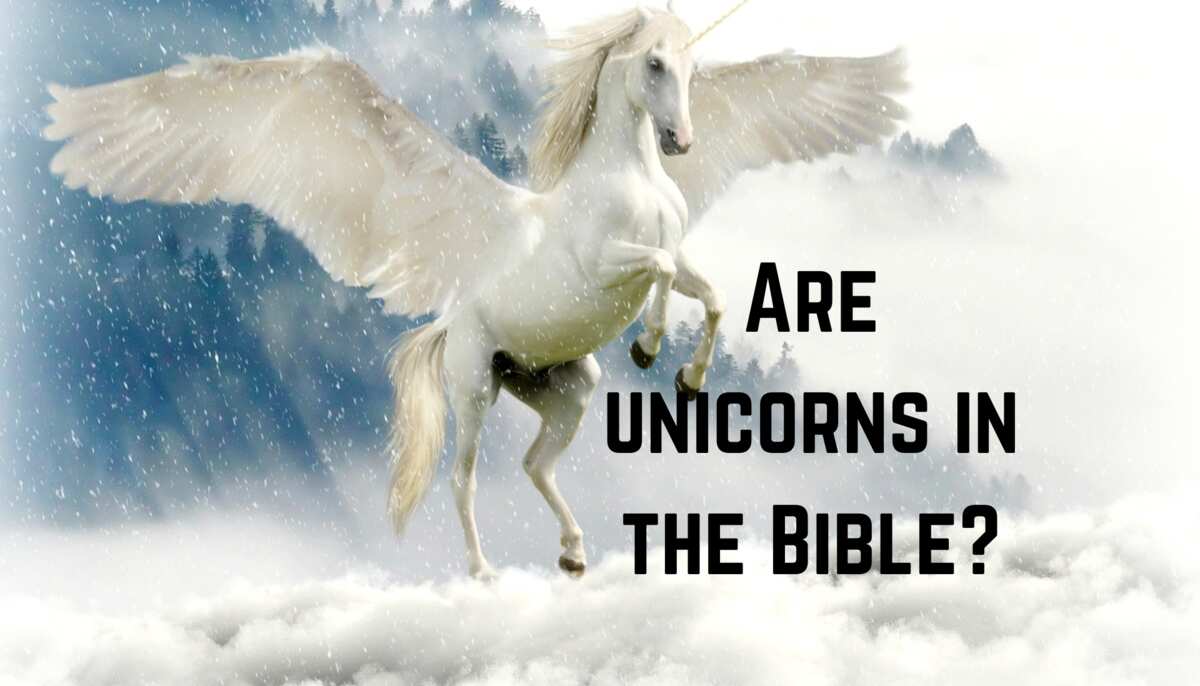 bible unicorns mythical verses creature legit