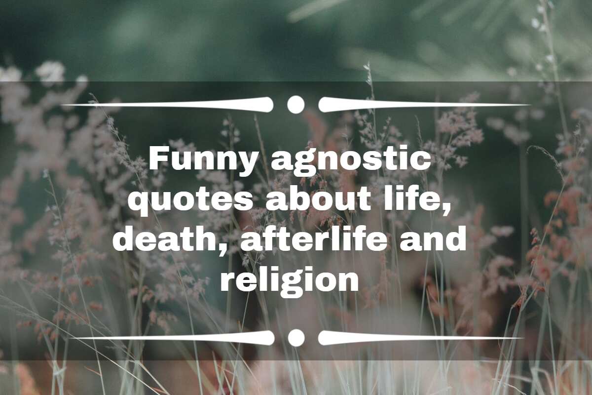 50+ funny agnostic quotes about life, death, afterlife and religion -  