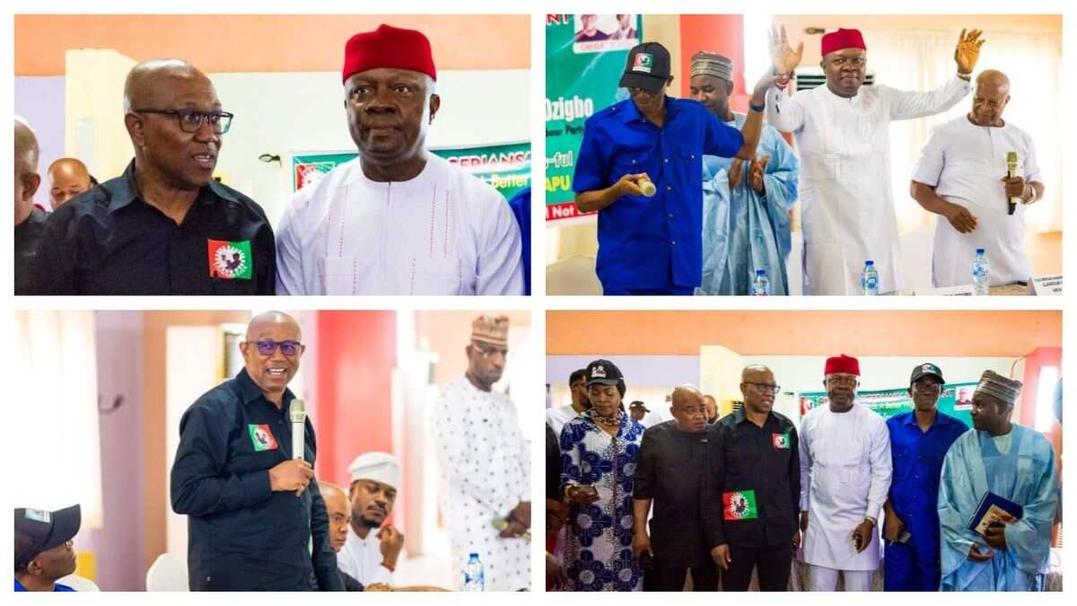 See unexpected photos of who Peter Obi officially welcomed to Labour Party