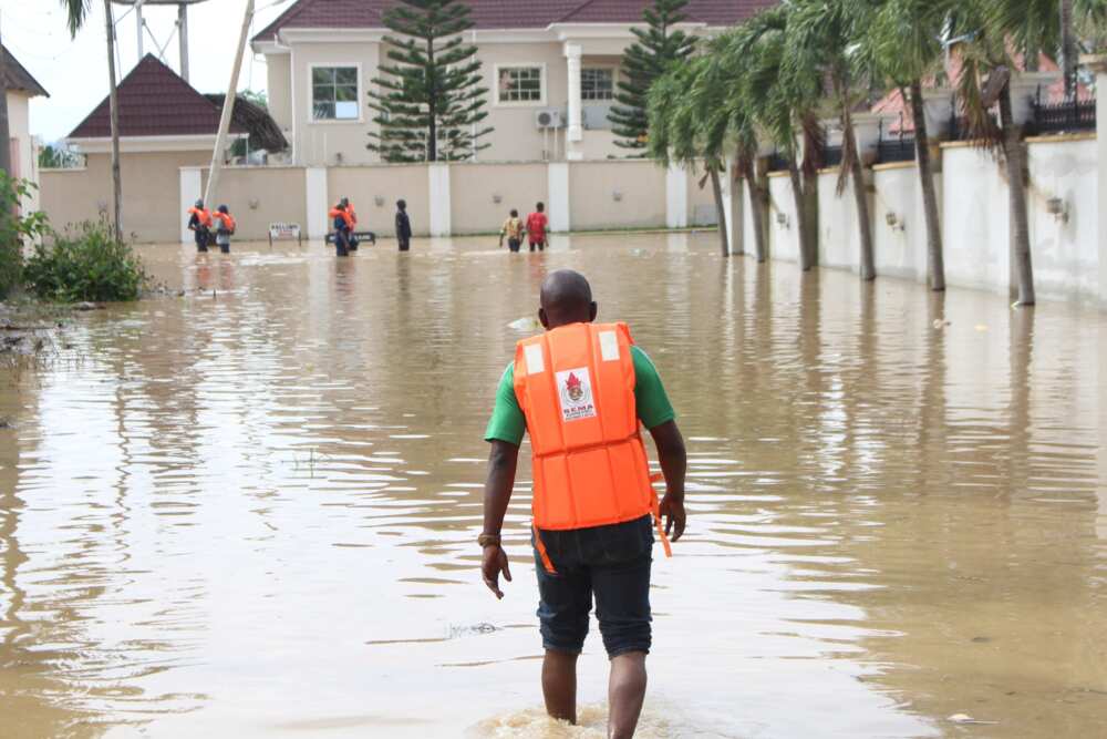 Flood kills four, destroys 5200 houses in Kano Flood kills four, destroys 5200 houses in Kano
