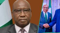 Emefiele: Former SGF Mustapha testifies in alleged $6.2m fraud trial, compounds ex CBN gov's trouble