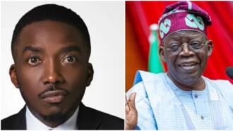 "You should be grateful to Tinubu's Lagos for helping you": Twitter user engages Bovi in heated exchange