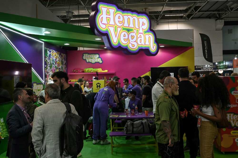 Organizers called to destigmatize cannabis and embrace its myriad uses Organizers called to destigmatize cannabis and embrace its myriad uses