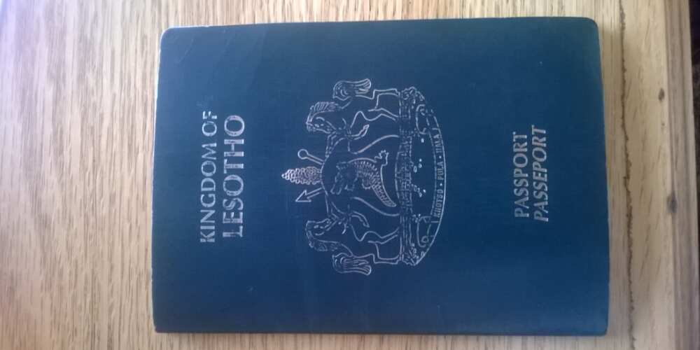 Here are the 7 most powerful passports in Africa right now