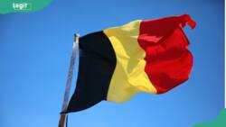 22 cities in Belgium to visit in 2023: explore the country's best attractions